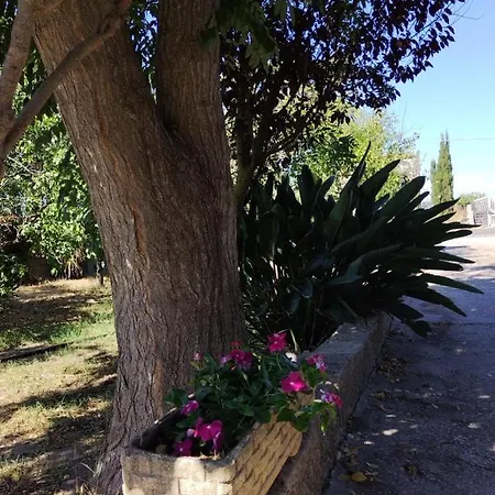 Il Villino * Platamona